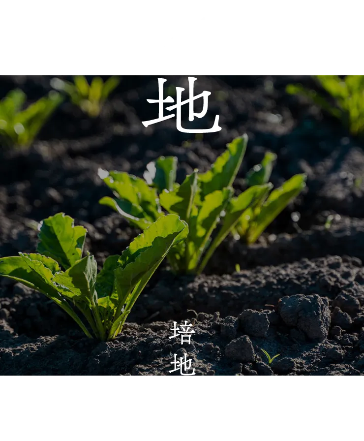大地 培地計装