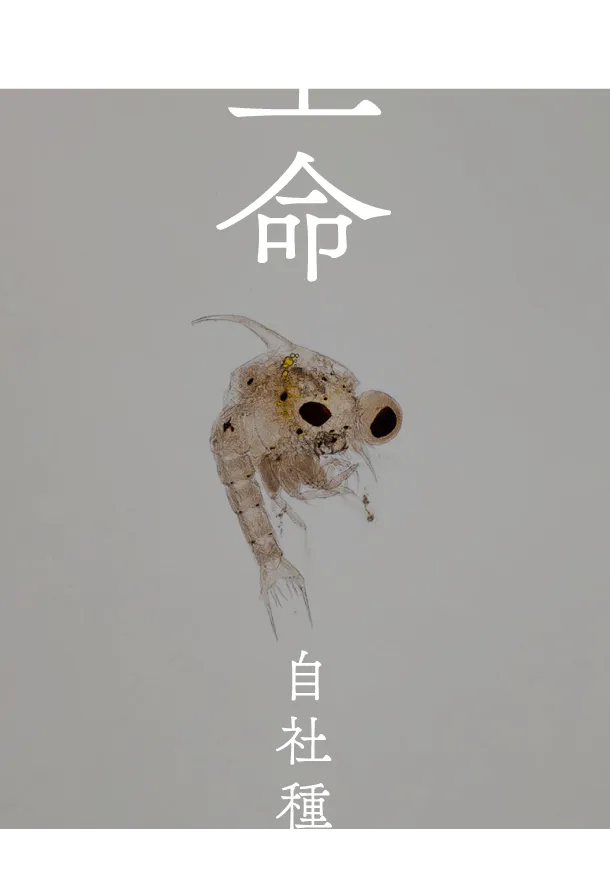 生命 自社種苗